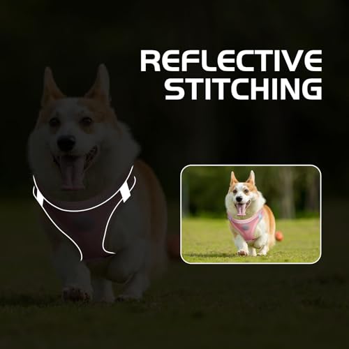 HIHANHAN Soft Mesh Dog Harness and Leash Set, No Pull Puppy Harness and Leash Set, Reflective Step in Harness for Small Me...