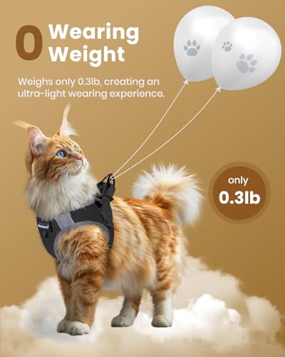 FAYOGOO Cat Harness and Leash Set for Walking Escape Proof, Kitten Adjustable Small Large Cat Lightweight Soft Vest Harnes...