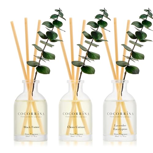 COCORRÍNA Eucalyptus Reed Diffuser Set of 3 - Lavender Eucalyptus, Black Forest, Clean Cotton Scents, 1.7 fl oz Each, Tota...