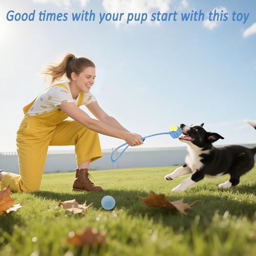 Beiker 20 Pack Puppy Chew Toys - Blue Dog Teething Toys for Puppies, Puppy Teething Rings and Ropes, Blue Rubber Toy Bundl...