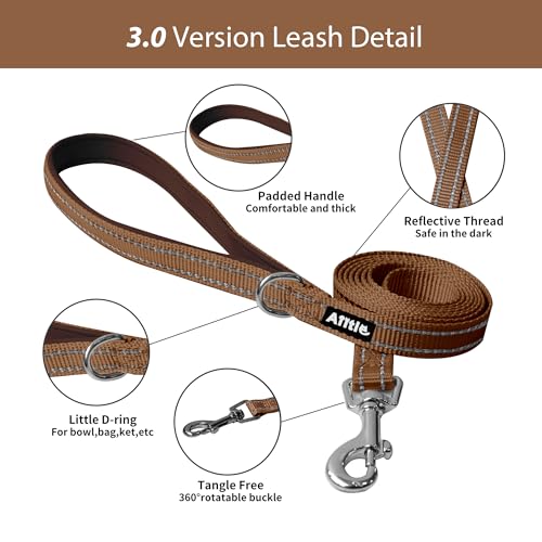 AIITLE No Pull Dog Harness and Leash Set, Step in Adjustable Dog Harness with Padded Vest for All Weather, Dog Leash with ...