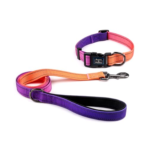 Roses&Poetry Puppy Dog Collar and Leash Set, Reflective Dog Leash for Small Dogs, Cute Matching Collars and Leashes Padded...