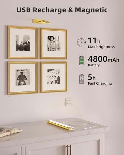 EZVALO Picture Light for Wall, 4800mAh Rechargeable Wireless Remote, 16in Dimmable Magnetic LED Art Display Light with 3 C...