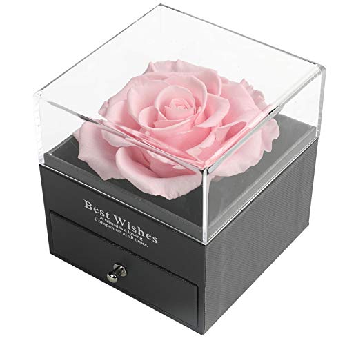 Skalago Preserved Real Rose Drawer with Heart Necklace I Love You in 100 Languages Gift Set, Handmade Enchanted Real Rose ...