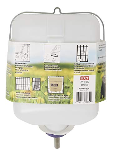 Lixit® All-Weather Rabbit Water Bottle - 64 Ounce Widemouth Cage Water Bottles for Rabbits, Ferrets, Guinea Pigs, Rats, an...