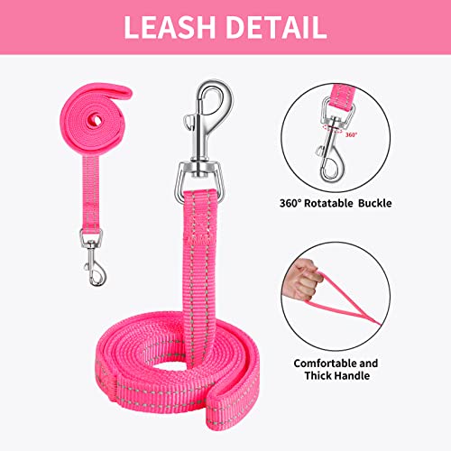 AMTOR Small Dog Harness with Leash Set, No Escape Easy Walk Puppy Harnesses for Training Walking, Step-in Reflective Soft ...