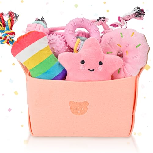 Ousiya 12 Pack Puppy Toys for Teething, Small & Medium Dogs – Chew Toys, Rope Toys & Interactive Dog Toys Set with Storage...
