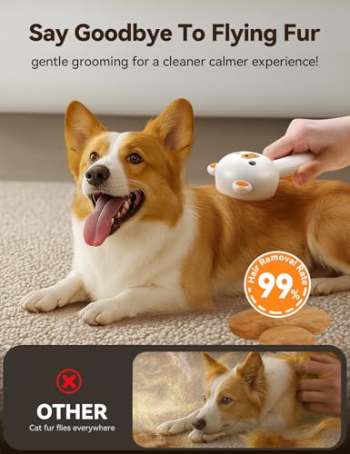 Pet Steam Brush for Dogs & Cats, Brushes for Indoor Cats with Release Button, Dual Speed Spray USB Rechargeable Grooming S...