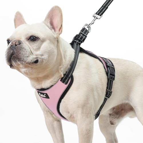 PUPTECK Dog Harness and Leash Set Medium Sized, Adjustable Reflective Escape Proof Puppy Vest, No Pull Walking Harness Eas...