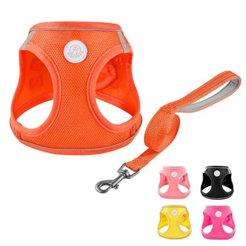 HIHANHAN Soft Mesh Dog Harness and Leash Set, No Pull Puppy Harness and Leash Set, Reflective Step in Harness for Small Me...