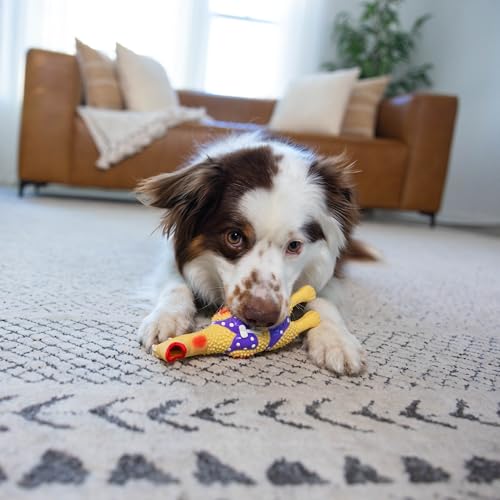 Outward Hound by Charming Pet Squawkers Henrietta Latex Squeaky Rubber Chicken Dog Toy, Funny Interactive Holiday Toy for ...