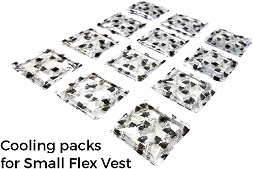 Glacier Tek Flex Cool Vest with Nontoxic Cooling Packs