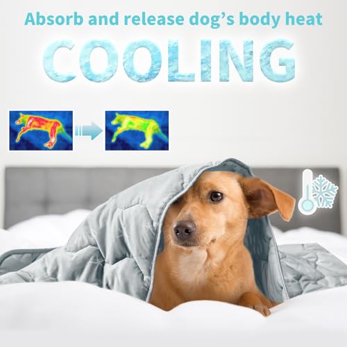 NWK Dog Cooling Blanket, Q-Max>0.345, Ice Silk Cool to Touch Material, Bed Cover, Furniture Protector Couch Sofa for Summe...