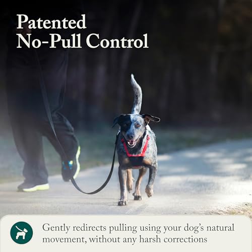 Sporn No Pull Dog Harness, Durable Nylon Mesh Harness for Medium Dogs, No Choke Design, Padded Restraint Sleeves, Adjustab...