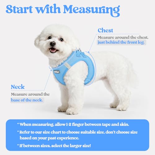 rabbitgoo Dog Harness Small Sized and Leash Set, Step in Soft Light Puppy Vest, Breathable Mesh Pet Harness, Reflective fo...