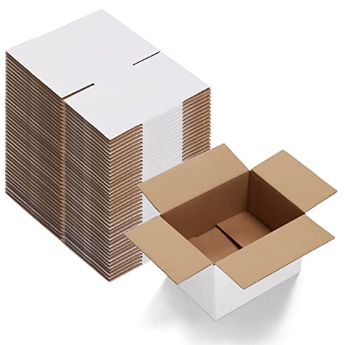 Calenzana 8x6x4 Shipping Boxes Set of 40, White Corrugated Cardboard Box for Mailing Packing Gifts Small Business