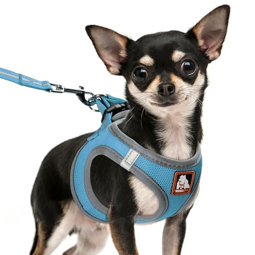 Dog Harness Medium Sized Dogs, Puppy Harness and Leash Set for Training, Running, Walking, Suitable for Small and Medium D...
