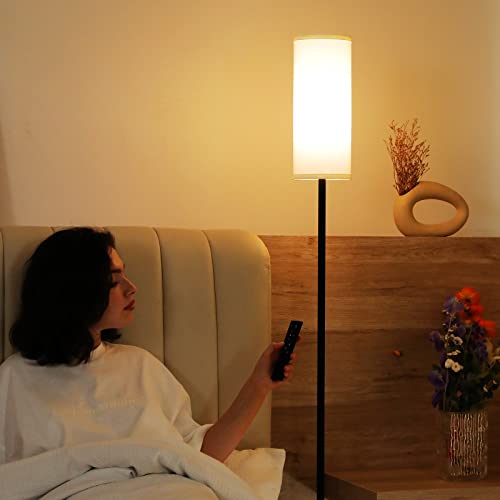 Ambimall Floor Lamps for Living Room, 64" Modern Floor Lamp with Remote Control and Stepless Dimmable Colors Temperature &...