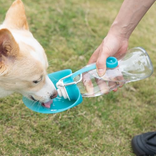 LumoLeaf Dog Water Bottle for Walking, Portable Pet Water Dispenser with Foldable Leaf Bowl – Lightweight Travel Bottle fo...