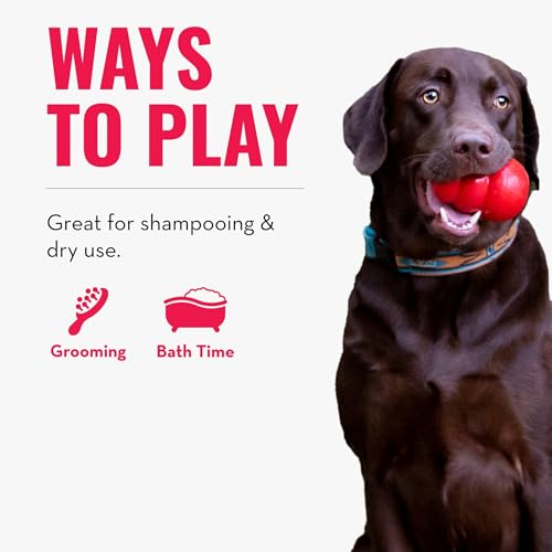 KONG - ZoomGroom - Dog Brush for Grooming and Shampooing - Red Brush for Large Dogs