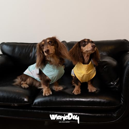 WienieDay Dachshund Dog Cooling Vest, Breathable Summer Dog Cooling & Quick-Dry Shirt for Outdoor Activities,Mini Dachshun...