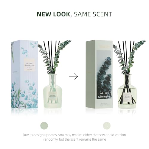 COCORRÍNA Eucalyptus & Wild Mint Reed Diffuser – 6.76 oz Essential Oil with 8 Reeds & Real Eucalyptus Sticks, Home Fragran...