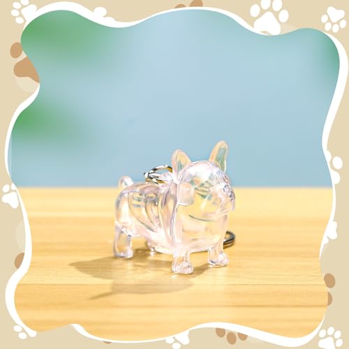 Nosiny 3 Pcs Dog Hair Collector Keychain Charm Memorial Storage Box Plastic Pet Fur Holder Keyring Cute Dog Hair Keepsake ...