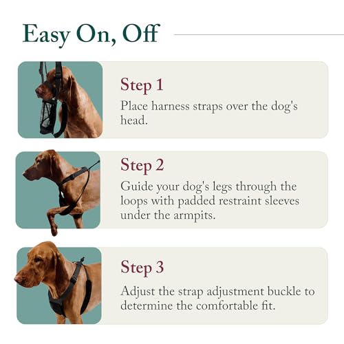 Sporn No Pull Dog Harness, Durable Nylon Mesh Harness for Medium Dogs, No Choke Design, Padded Restraint Sleeves, Adjustab...