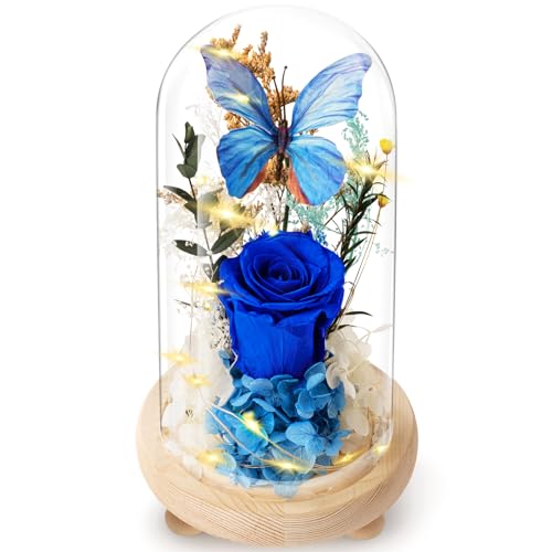 Forever Flowers Preserved Roses with Light in Glass Dome, Romantic Gifts for Mom Wife Girlfriend Grandma, Blue Flower for ...