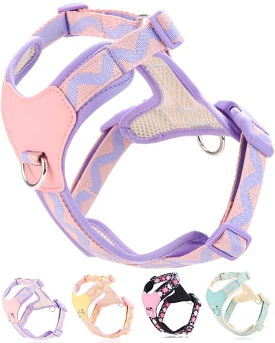 Petank Purple Medium Dog Harness for Medium Dogs, No Pull Dog Harness with 2 Leash Clips, Puppy Harness, Adjustable Dog Ve...