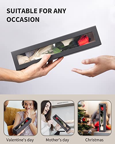 SofLiv Flowers for Delivery Prime, Preserved Roses Flower Gifts for Women, Real Roses Single Rose Presents for Her, Mom Bi...