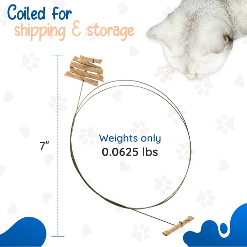 Cat Dancer Interactive Cat Toy - Fun and Fitness for Your Furry Friend - Engaging Paper Roll Attached with 30 Inches Flexi...