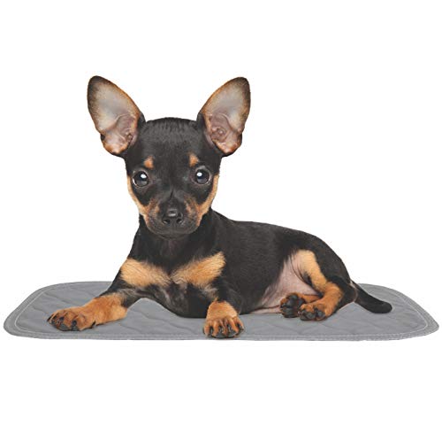 rocket & rex Premium Washable Pet Carrier Pads, Reusable, Waterproof & Absorbent, Dog and Cat Pads for Lining Travel Carri...