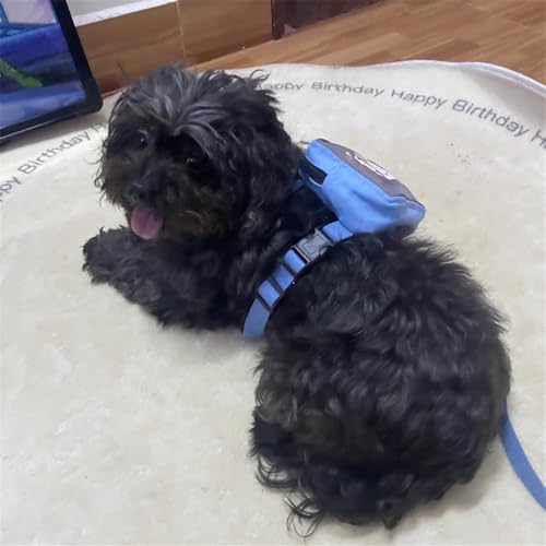 Dog Harness Backpack Cute Dog Vest Harness and Leash Set Plaid Soft Mesh Dog Harness with Adjustable Travel Food Back Pack...