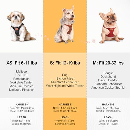 Beirui ‌Stylish PU Leather Dog Harness‌ and Leash Set for Small Dogs, ‌Adjustable Step in Dog Vest Harness with Breathable...