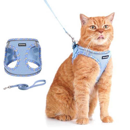 Rttochfy Cat Harness and Leash Set, Escape Proof Kitten Harness, Soft and Breathable Vest with Reflective Strip, Easy to W...