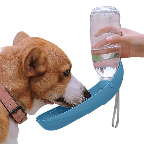 Billionchains Dog Water Bottle, 550ML Large Capacity Leak-Proof Portable Pet Water Dispenser with Carrying Lanyard, Ideal ...