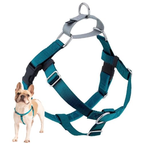 2 Hounds Design Freedom No Pull Dog Harness, Adjustable Harness, Easy Walking & Comfortable Control, Fits Small, Medium & ...