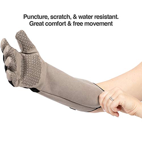 PetFusion Multipurpose Pet Glove for Grooming, Trips to Vet, Handling. [Puncture & Scratch Resistant, Water Resistant]. 12...