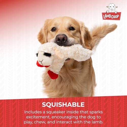 Multipet Lamb Chop Dog Plush Toy - Squeaky Toy for Small & Medium Dogs - Extra Soft Plush - Stuffed Animal for Cuddling & ...