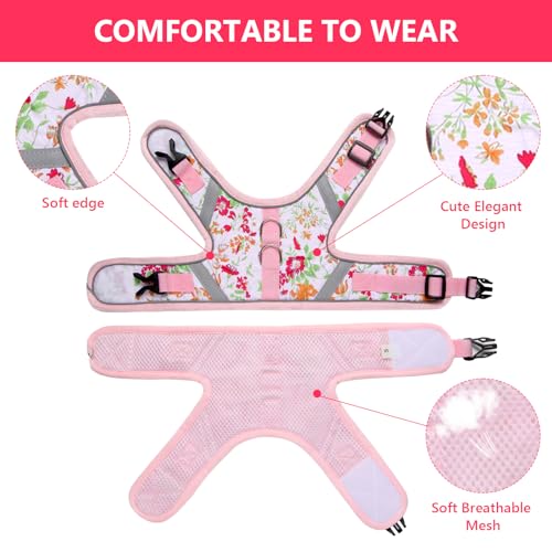 VIBRANZY Floral cat Leash and Harness Set. The cat Harness Escape Proof Feature Allows You to Walk You cat, Small Dog or R...