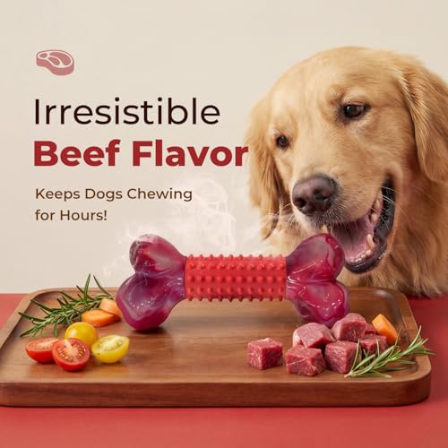 Apasiri Tough Dog Toys for Aggressive Chewers: Beef Flavored Long Lasting Dog Bones for Large Dogs, Heavy Duty Nylon & Rub...