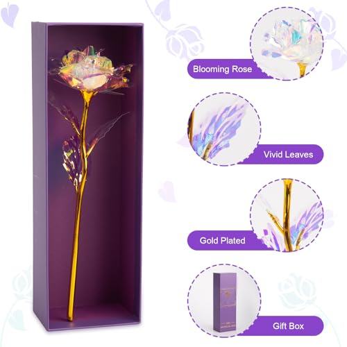 JOHOUSE Artificial Galaxy Rose Flower Gifts for Mothers Day Mom Gifts, Galaxy Eternity Rose Glass Forever Flowers for Mom ...