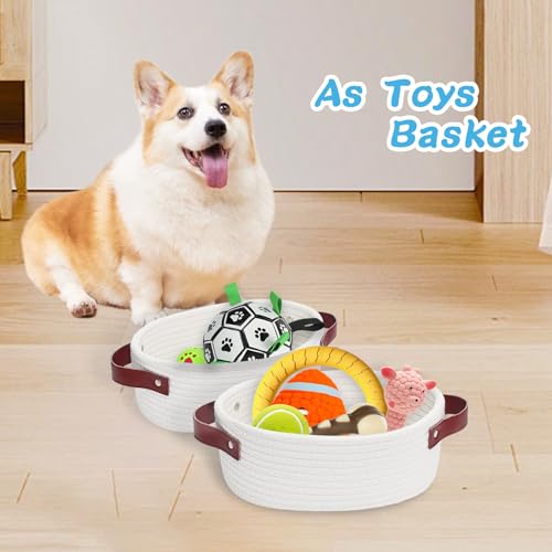ABenkle Small Woven Basket, Mini Cotton Rope Storage Tiny Shelf Oval Decorative Toy Dog Cat Bin for Nursery, Empty Gift Ba...