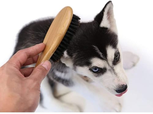 Patina Dog Cat Brush for Shedding, Natural Bamboo Boar Bristles Brush, Pet Grooming Supplies for Short and Long Haired Dog...