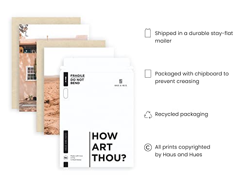 HAUS AND HUES Desert Succulent Wall Art & Botanical Prints Set of 6 Southwestern Wall Decor, Cactus Art Prints, Joshua Tre...