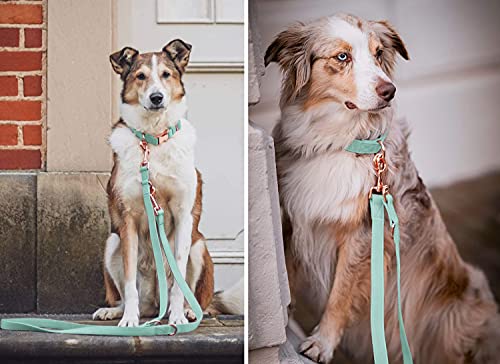 Soft Leather Dog Collar and Leash (6.6') Set - Stylish Rose Gold Heavy Duty Metal Buckle, 4 Adjustable Lengths Leash for S...