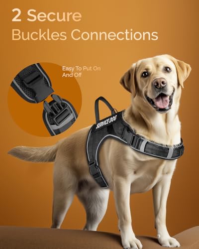 FAYOGOO Service Dog Vest for Large Dogs - Air Mesh Breathble Emotional Support Animal Vest with DIY Removable Patches - Do...
