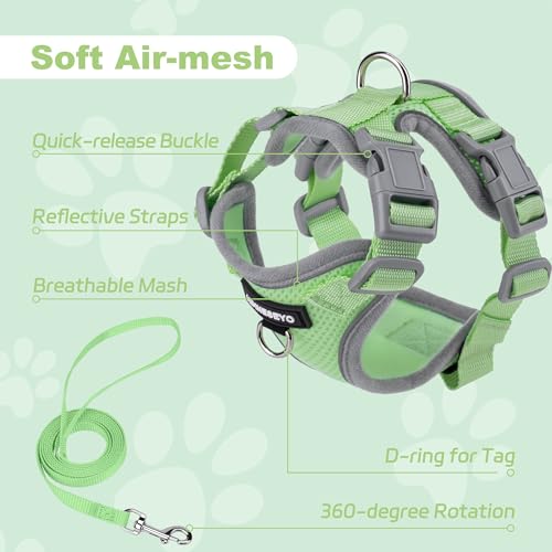 HIMNESEYO Small Dog Harness and Leash Set, No Pull Adjustable Pet Harness for Small Dogs, Breathable Mesh Rflective Dog Ve...