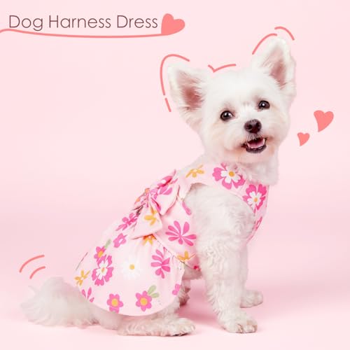 BAOBICUTE Dog Dress Harness Dresses Leash Set for Small Dogs Cute Girl Dog Clothes with Bowknot Puppy Outfits for Shih Tzu...